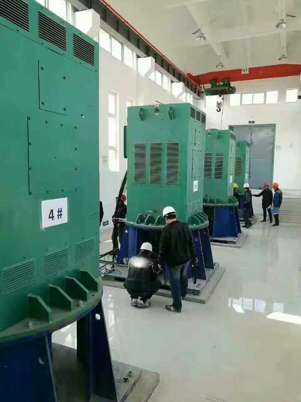 平塘某污水处理厂使用我厂的立式高压电机安装现场生产厂家
